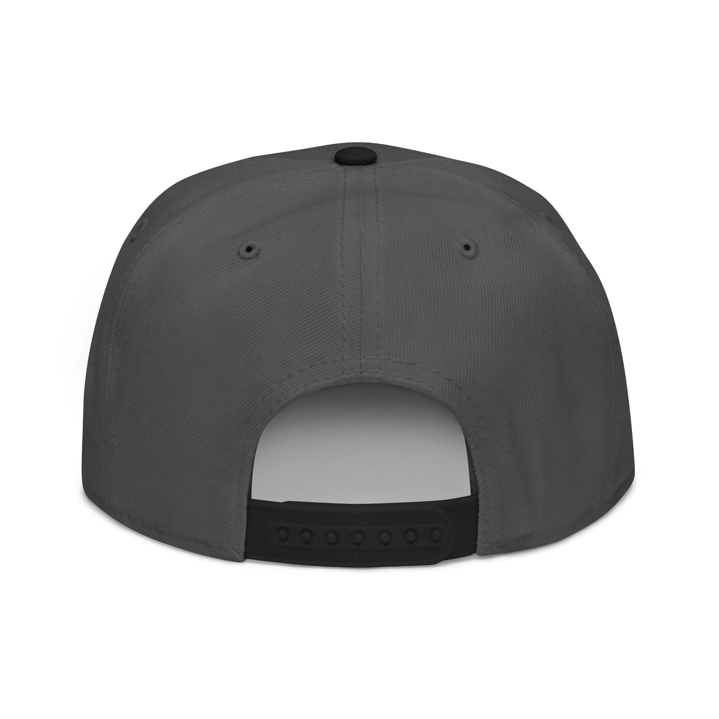 Embroidered Snapback Hat — 'Dog Dad' Flame Text Cap